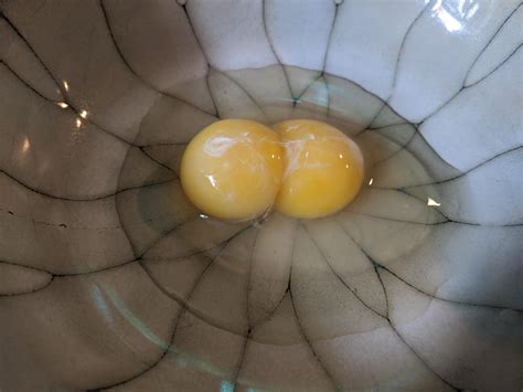 Double yolk inference divination